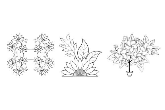 Floral Coloring Page Book for Kids V8